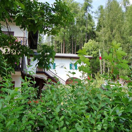 Hotel Ganzaie Val di Fiemme Ngoại thất bức ảnh