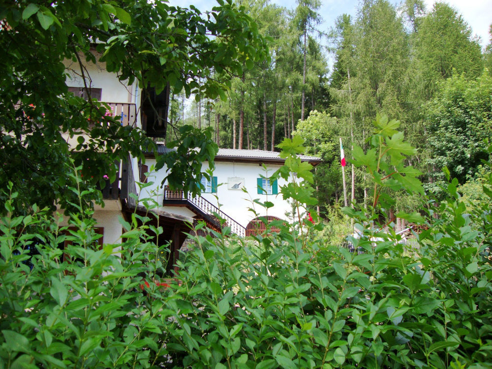 Hotel Ganzaie Val di Fiemme Ngoại thất bức ảnh